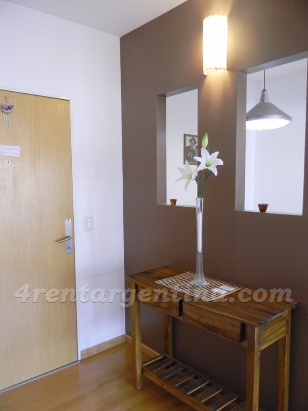 Manso and Pealoza: Furnished apartment in Puerto Madero