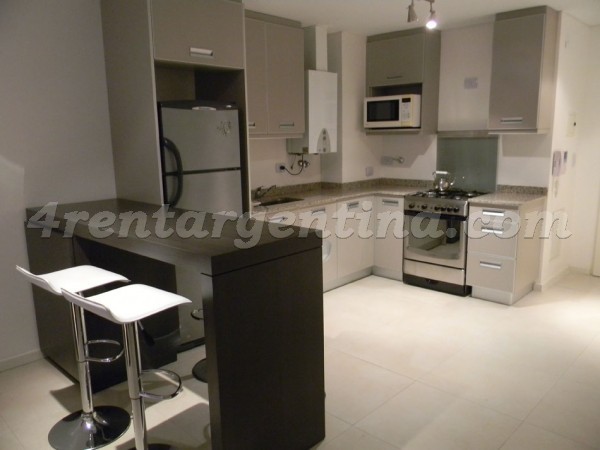 Pea and Larrea: Apartment for rent in Buenos Aires