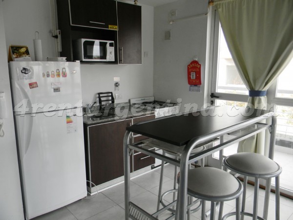 Fitz Roy and Niceto Vega I, apartment fully equipped