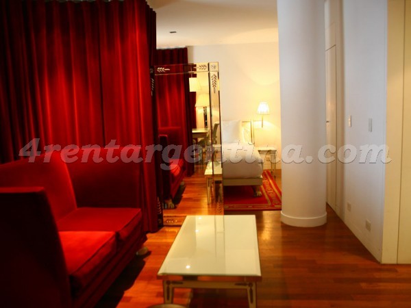 Eyle and Manso III: Furnished apartment in Puerto Madero