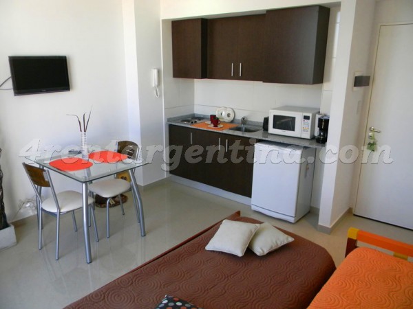 Charcas and Darregueyra: Furnished apartment in Palermo