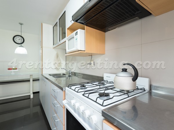 Cervio and Lafinur I, apartment fully equipped