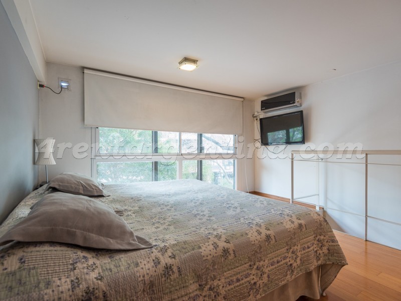 Chenaut and L.M. Campos