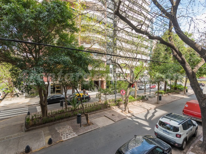 Chenaut and L.M. Campos