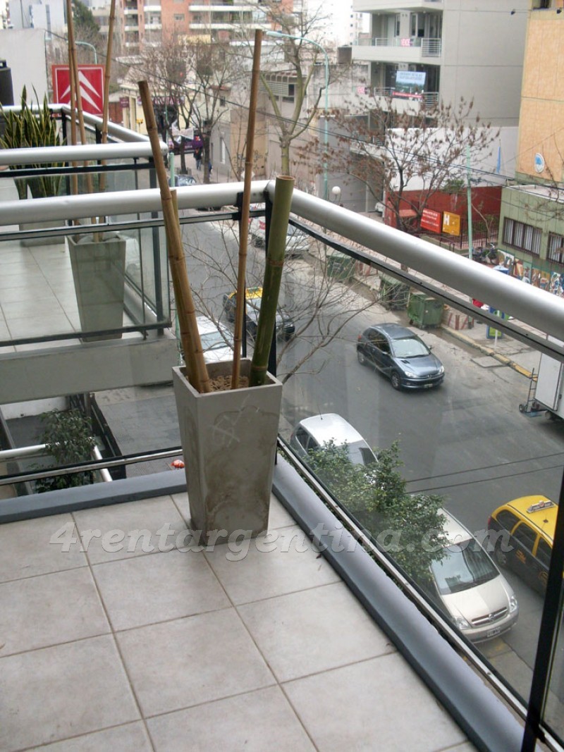 Congreso and Libertador