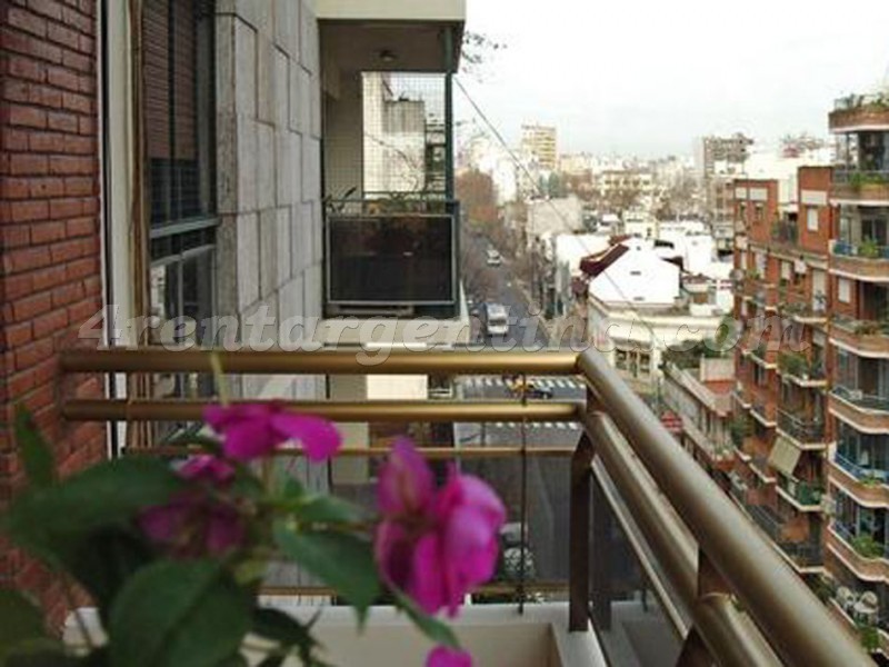 Billinghurst and Cordoba VII