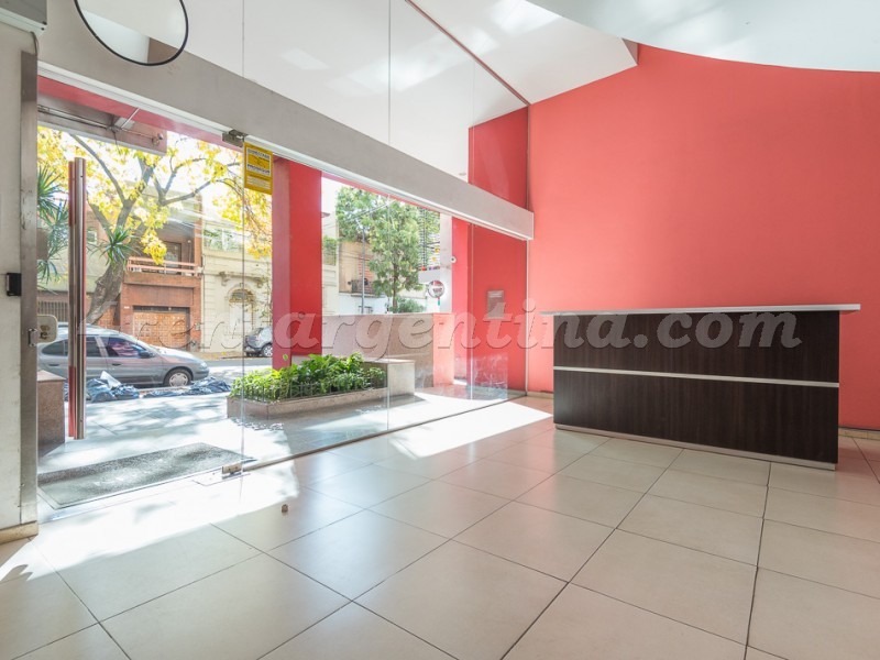 Palestina e Cordoba III