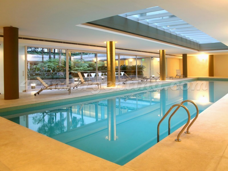 Manso e Alvear Pacini XIV