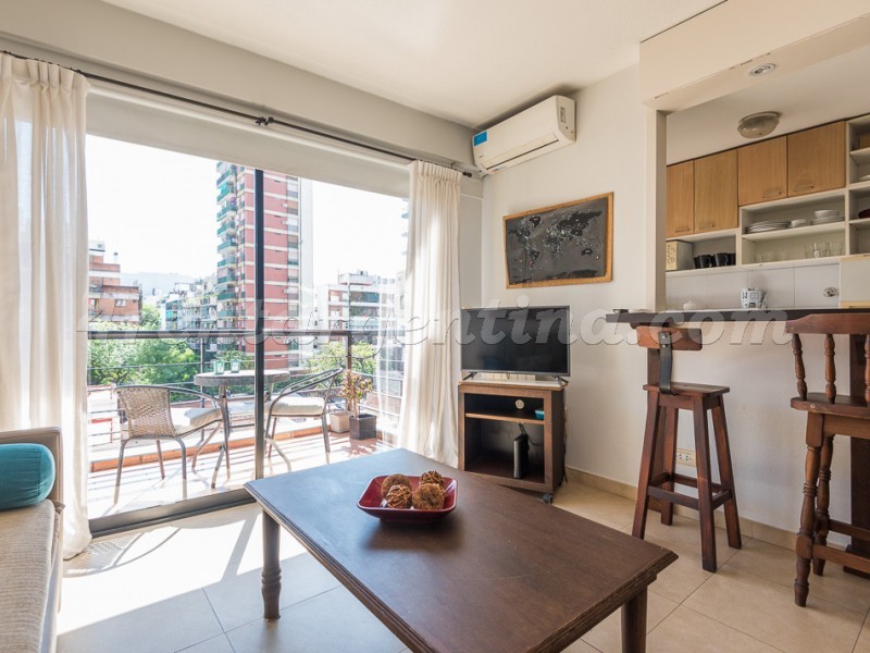 Gurruchaga y Charcas IV