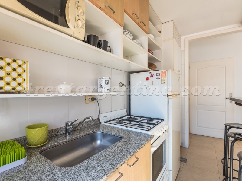 Gurruchaga y Charcas IV