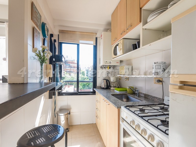 Gurruchaga y Charcas IV