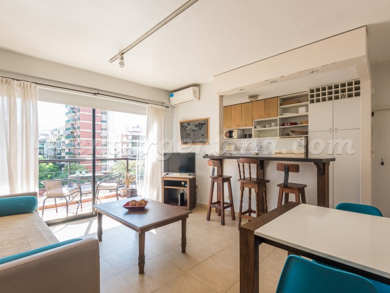 Gurruchaga y Charcas IV