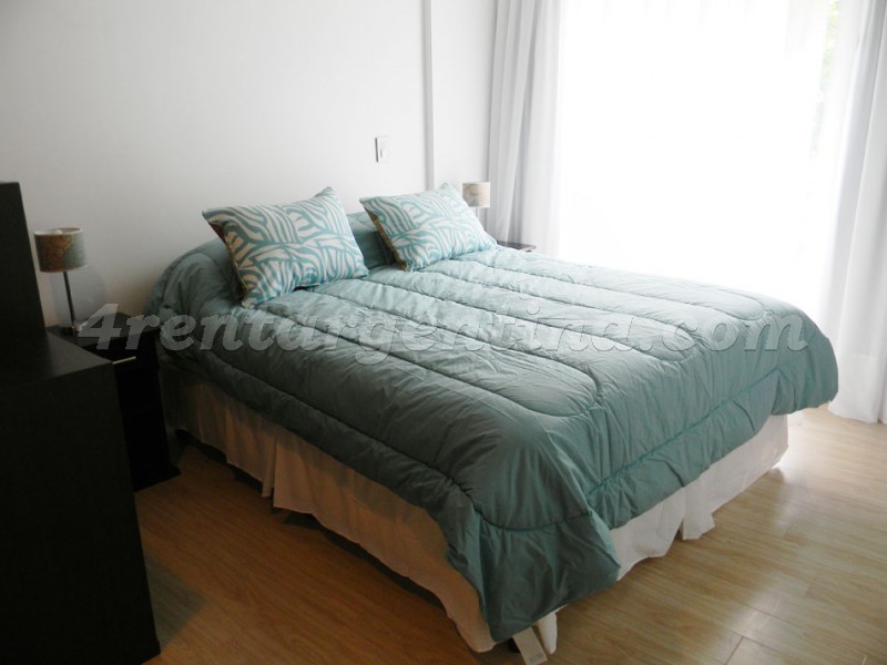 Laprida and Juncal VII