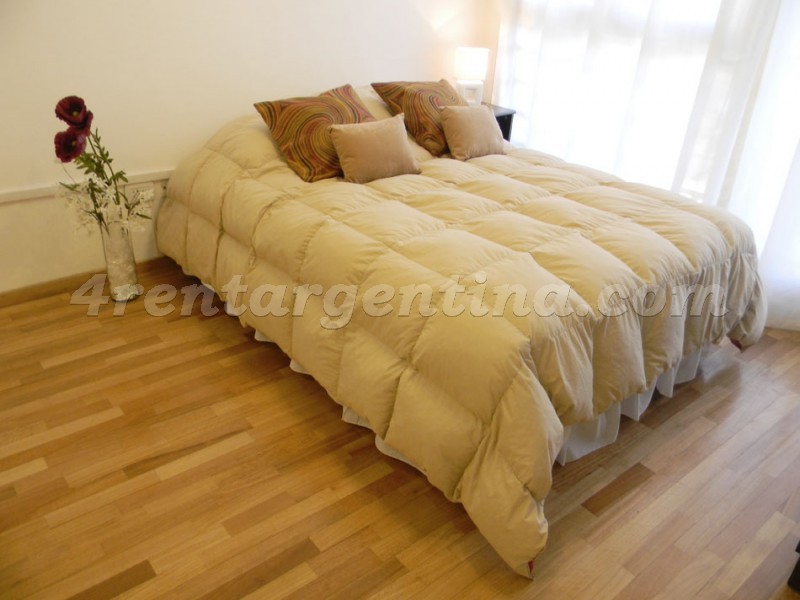 Santa Fe y Ravignani IV