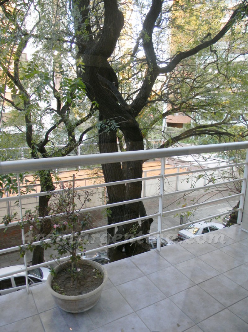 Ugarteche y Segui II