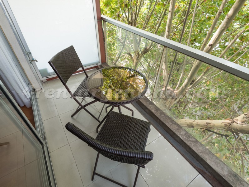 Larrea and Beruti III