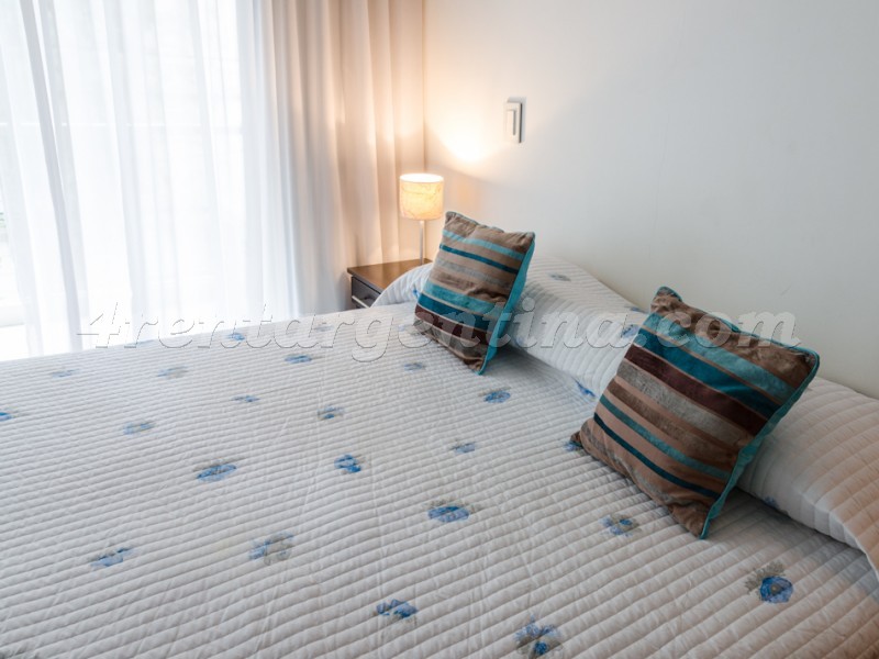 Laprida and Juncal XVIII