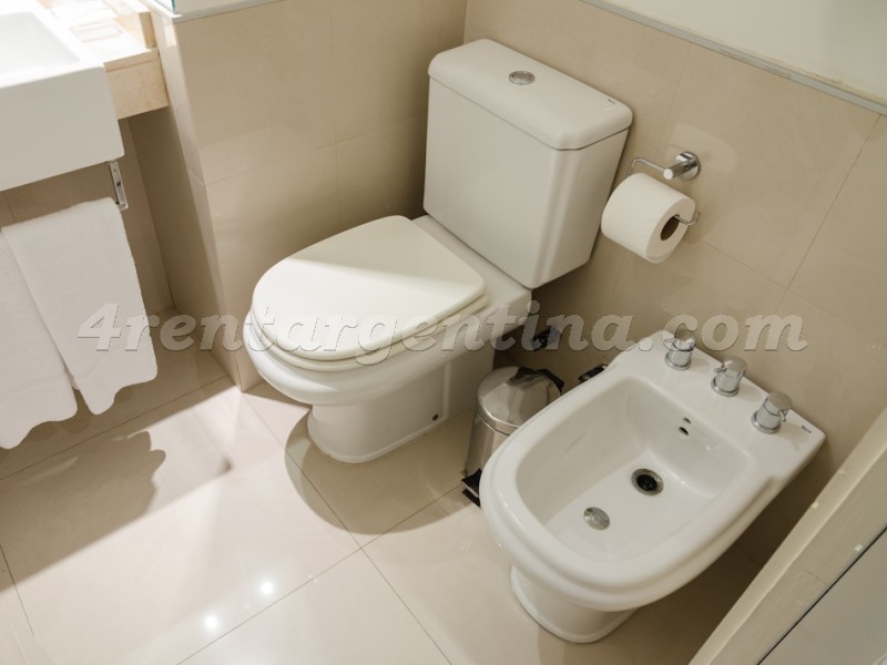 Laprida and Juncal XVIII