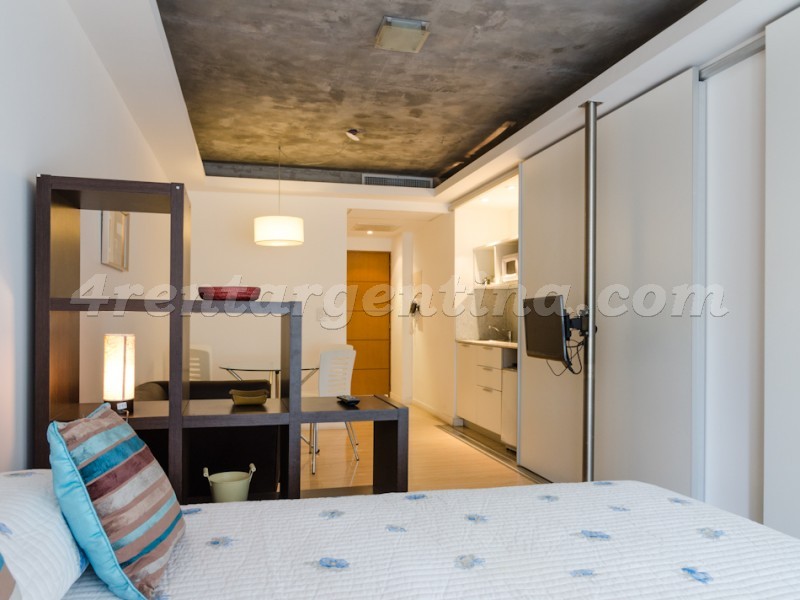 Laprida and Juncal XVIII