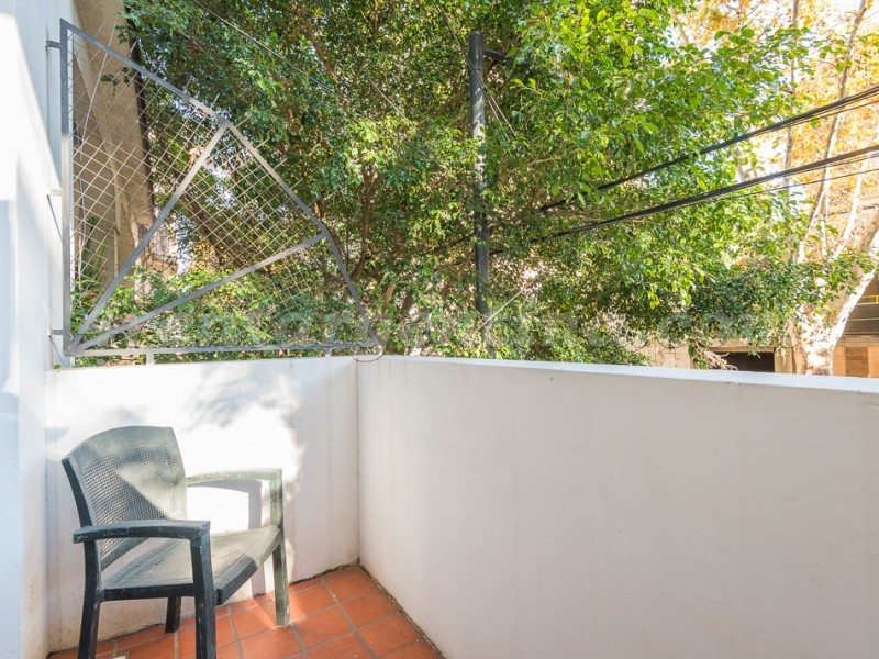 Armenia e Paraguay V