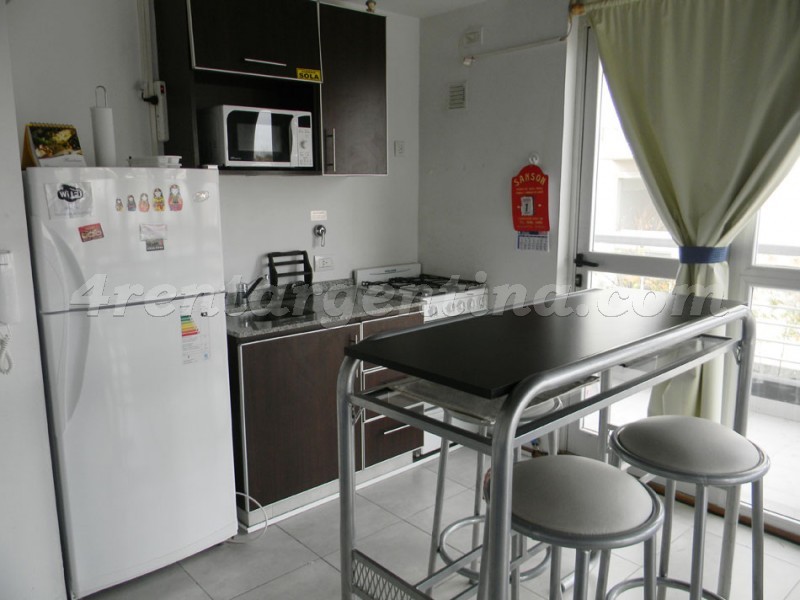 Fitz Roy y Niceto Vega I