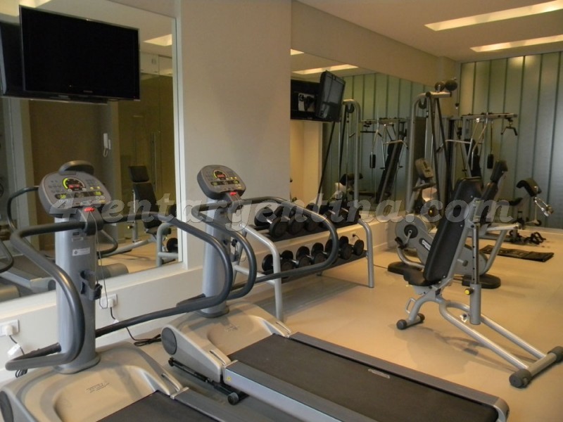 Borges e Paraguay IV