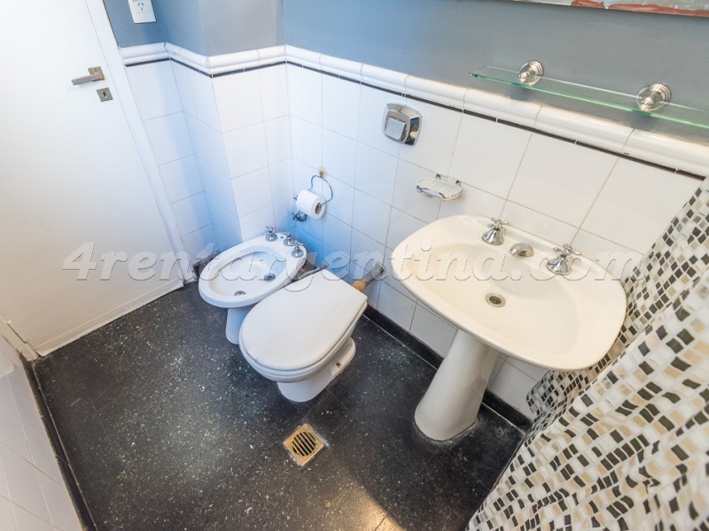 Guido and Pueyrredon IX