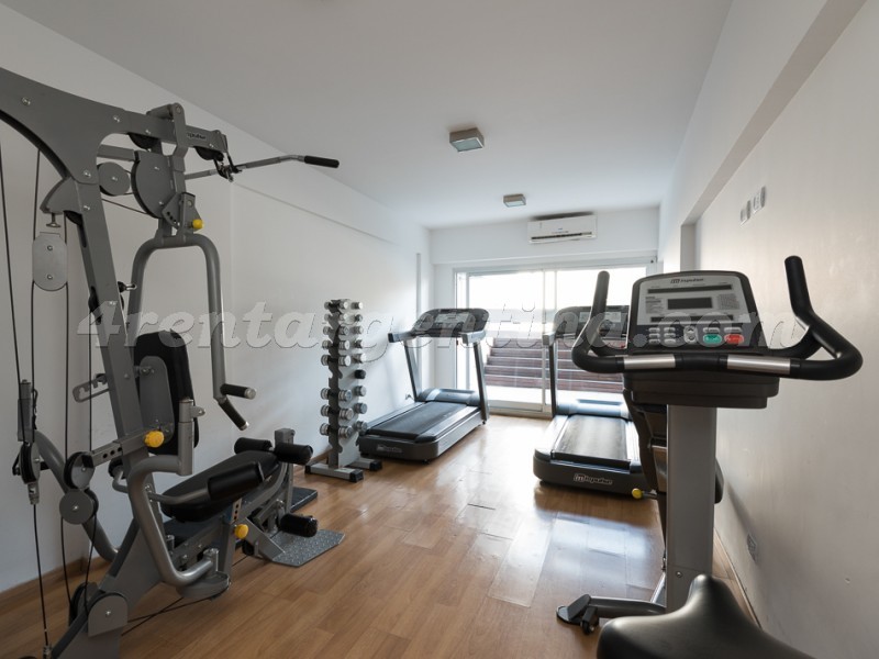 Arevalo and Honduras