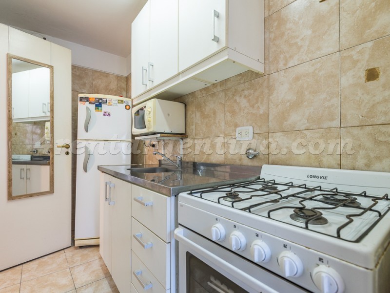 Virrey del Pino and Amenabar II