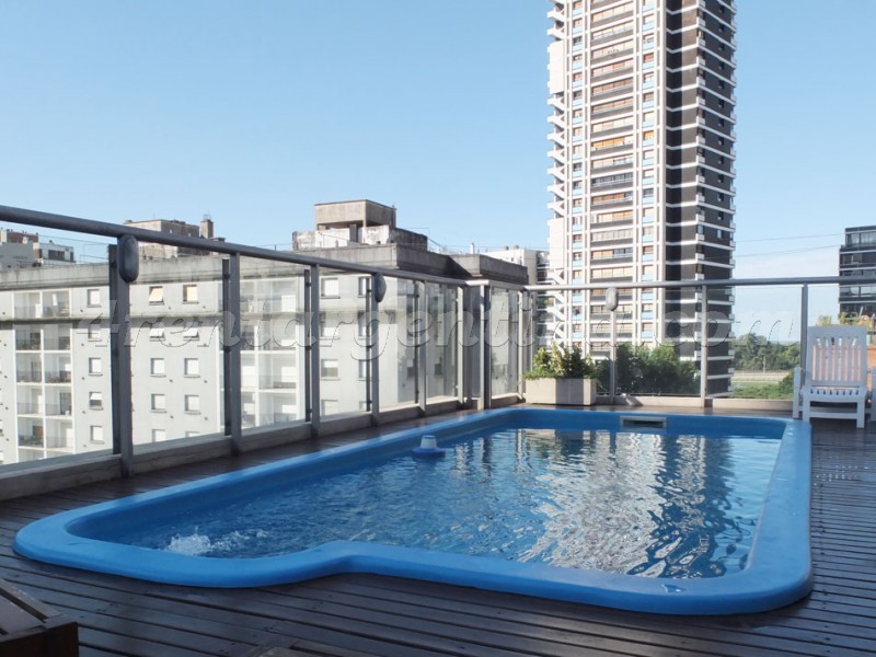 Soldado de la Independencia et Ortega y Gasset