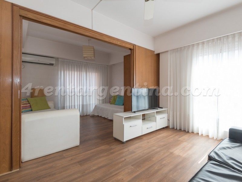 Castex e San Martin de Tours