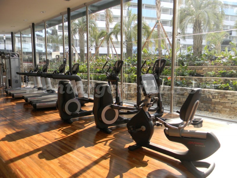 Peñaloza e Juana Manso