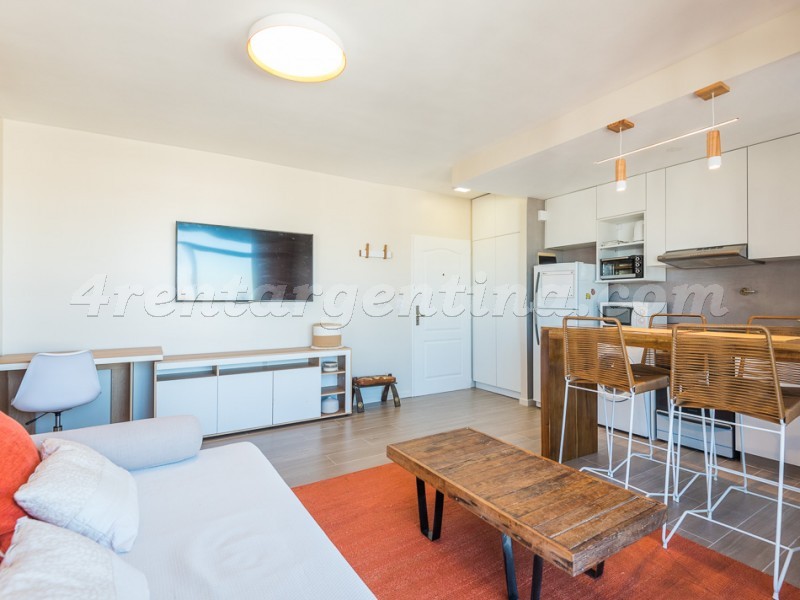 Gurruchaga y Charcas V