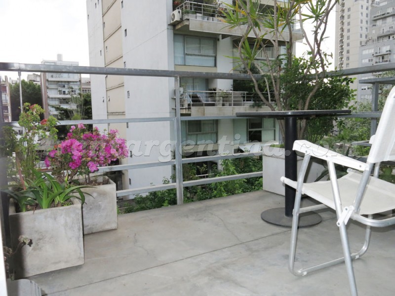 Paraguay and Arevalo III