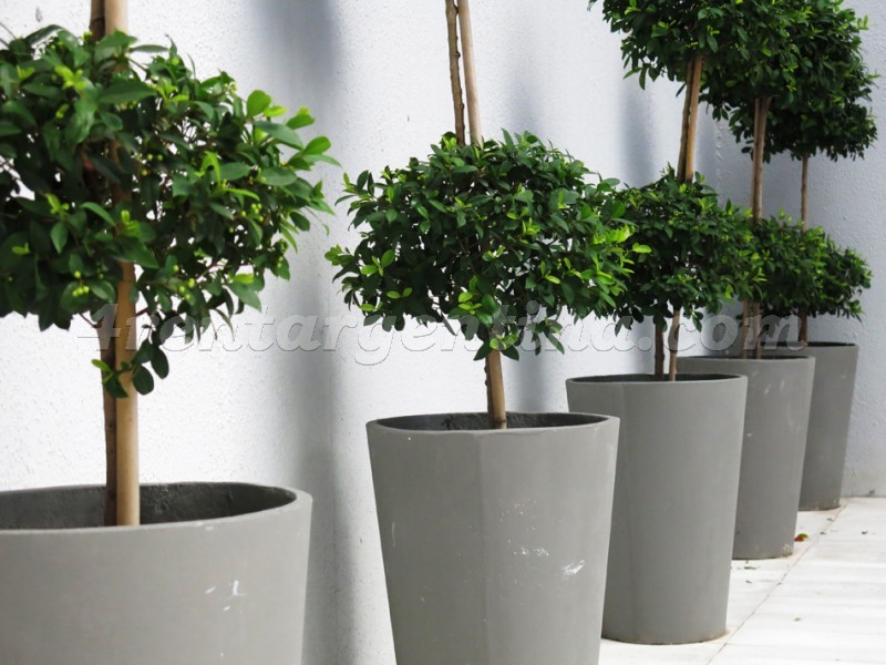 Ciudad de la Paz and Concepción Arenal  I