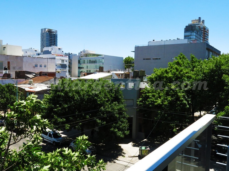 Roosevelt y Montañeses