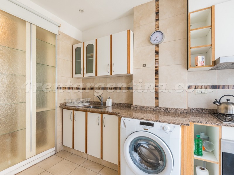 Combate de los Pozos y Alsina