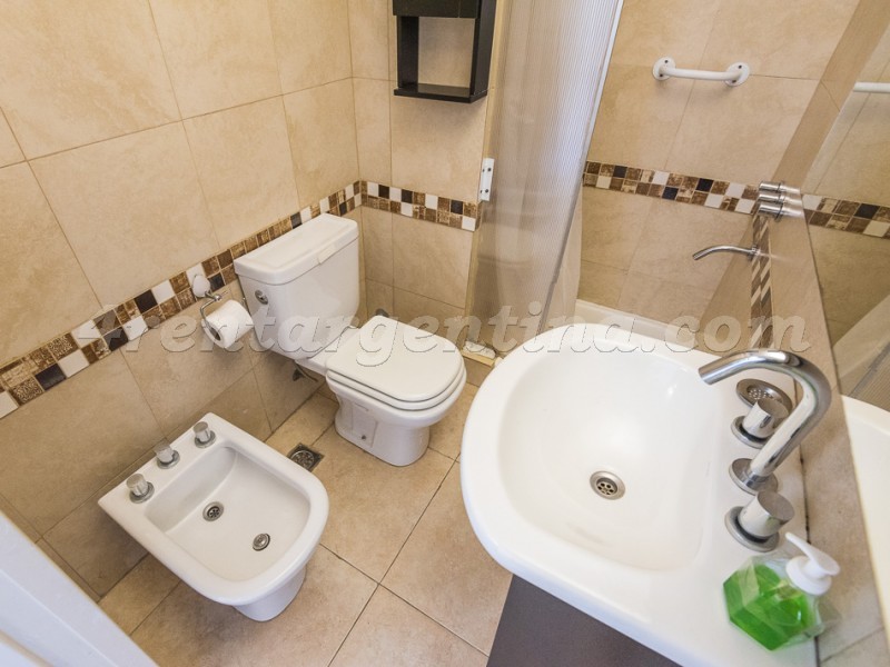 Combate de los Pozos y Alsina