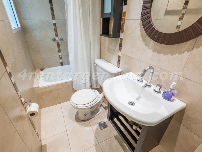 Combate de los Pozos y Alsina