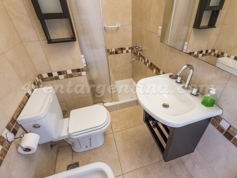 Combate de los Pozos y Alsina