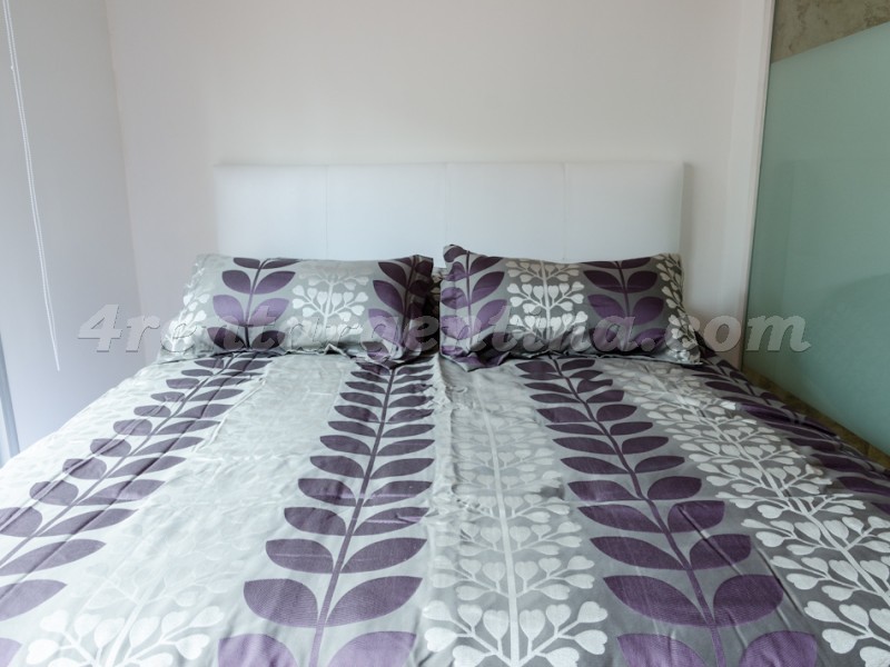 Rodriguez Peña and Sarmiento XVII