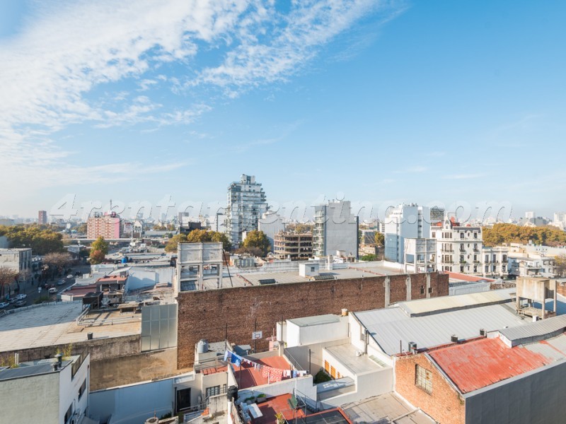 Niceto Vega y Bonpland I