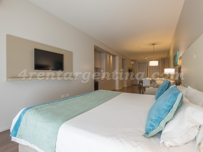 Bulnes and Guemes VII