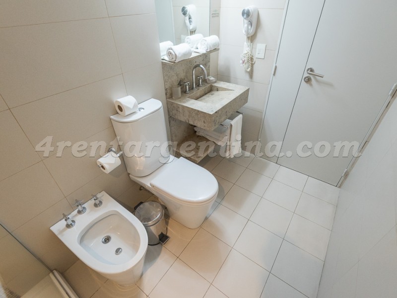 Bulnes and Guemes VII