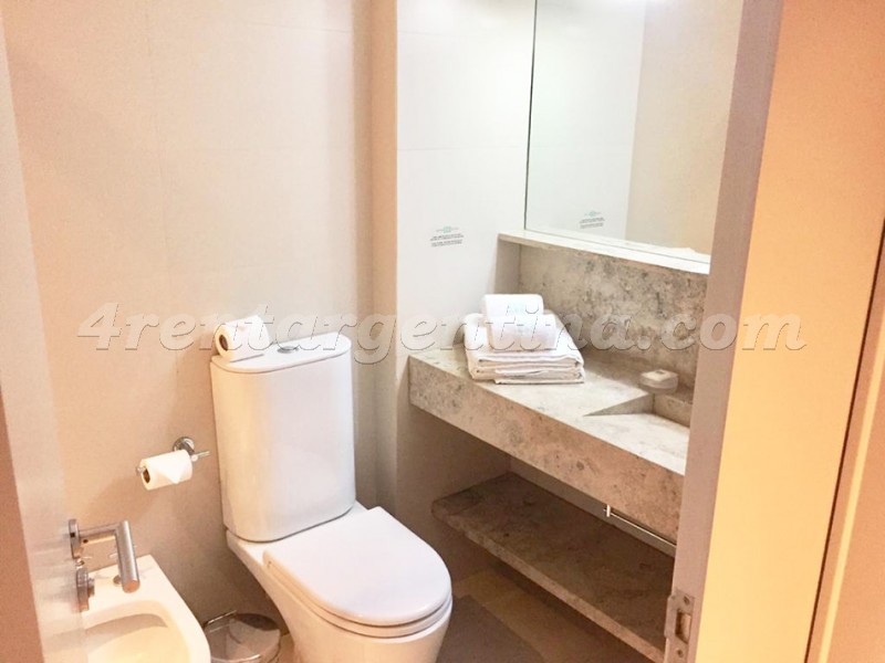 Bulnes and Guemes XI