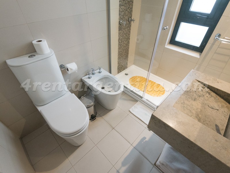 Bulnes y Guemes XIII