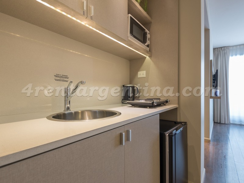 Bulnes y Guemes XIII