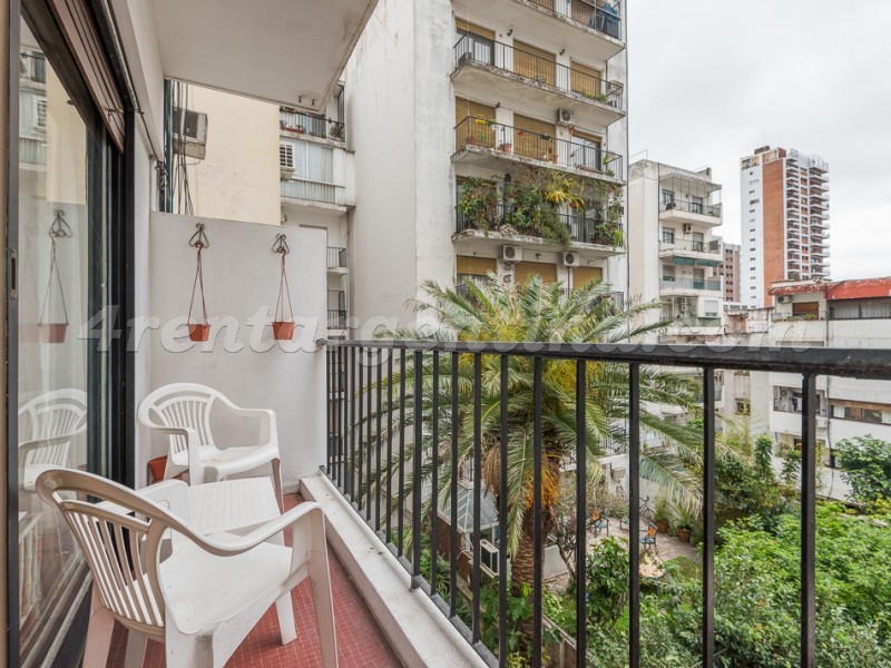 Virrey del Pino and Amenabar IV