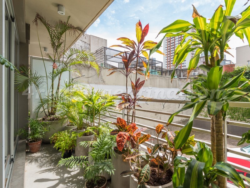 Miro et Primera Junta