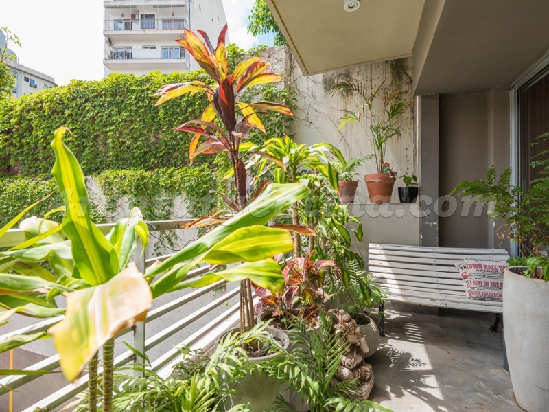 Miro et Primera Junta